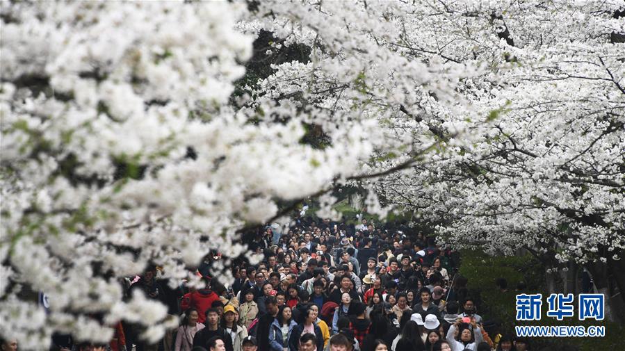 地球上还剩多少石油?储量最多的国家竟是——_云服务器50M带宽