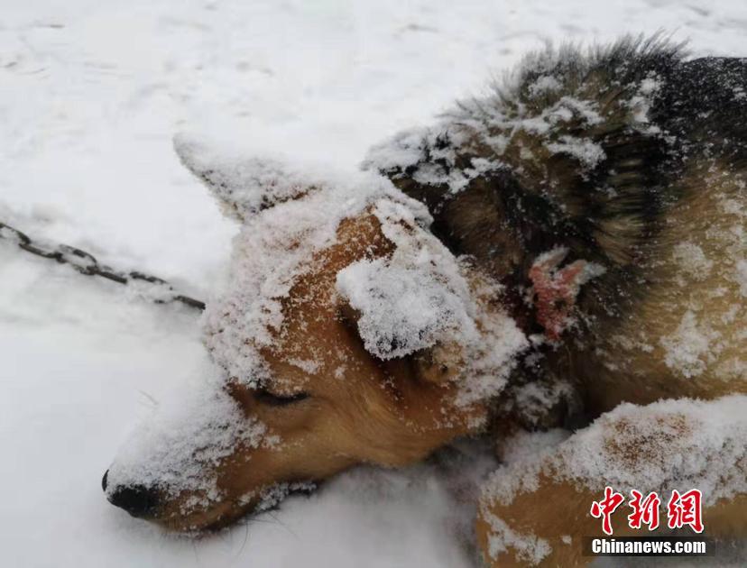 这就是你购买指南者的理由！新增2.0L自吸车型售18.58万_挂机宝代理分销
