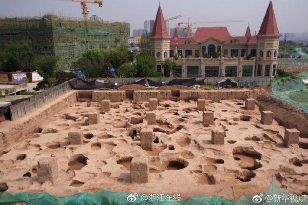首度披露！重庆公安局原局长何挺下属已被双开_挂机宝运行脚本