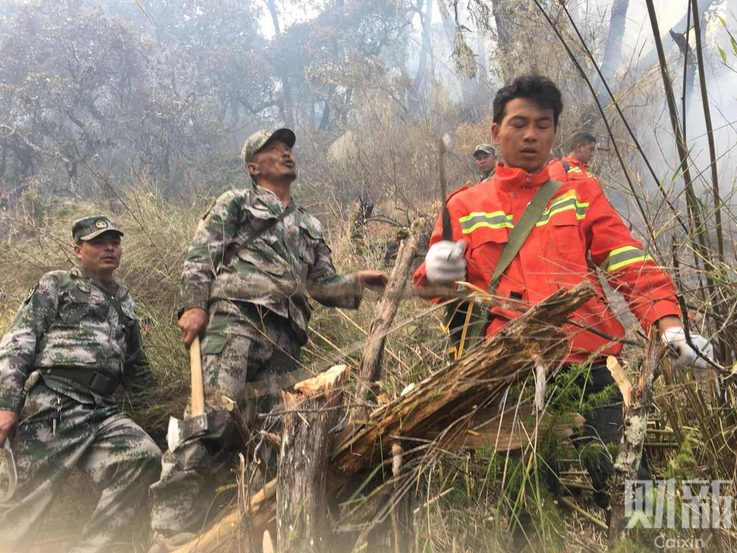 10小时目睹国外父母推娃新境界_鲲鹏云服务器