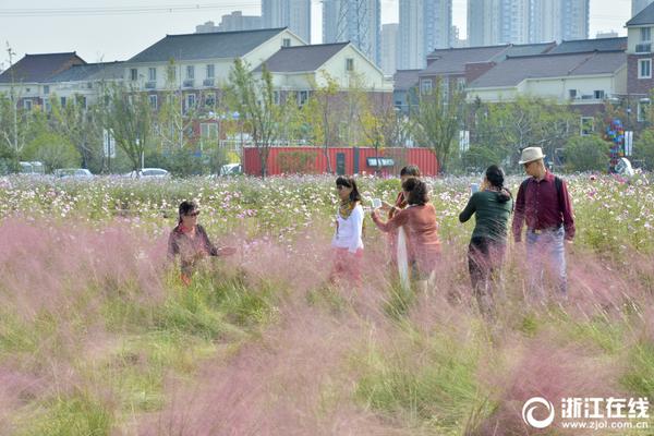 河北曝冒名上大学事件