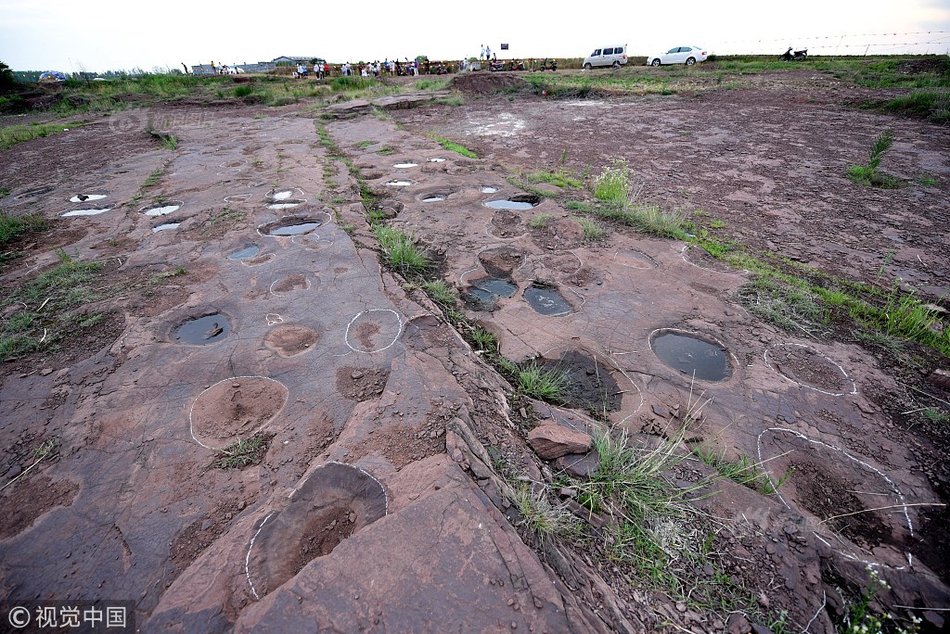 盗版流浪地球幕后黑手落网_9929带宽推荐