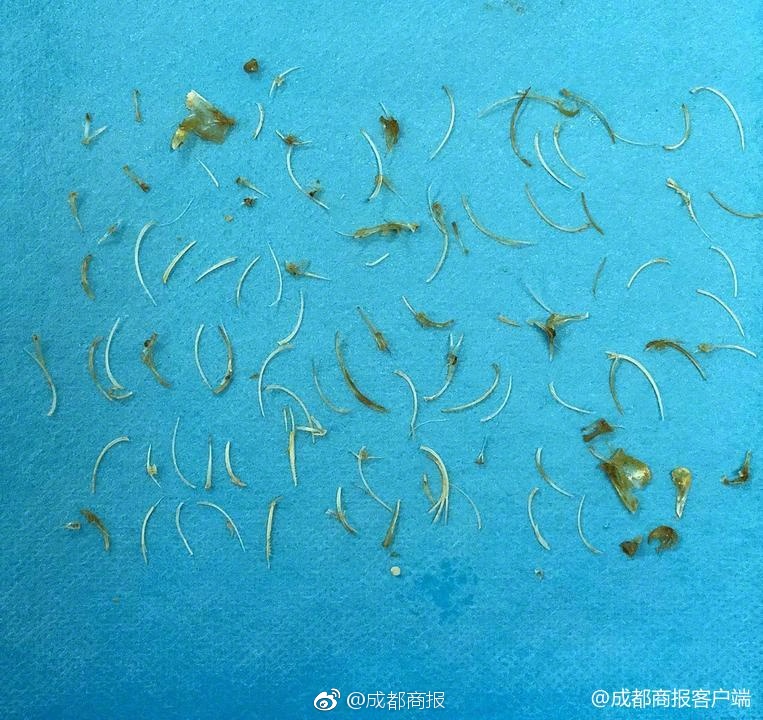 月光族的福利！这车售价仅6万，省油耐造比帕萨特更值得买_CN2服务器靠谱吗