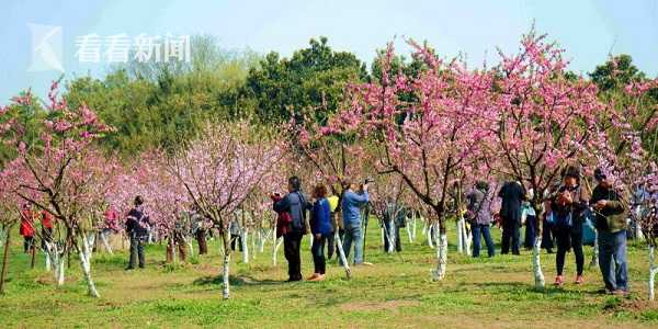 A股车企一季报集体滑铁卢：仅两家新能源车企净利增长_CN2服务器线路测试
