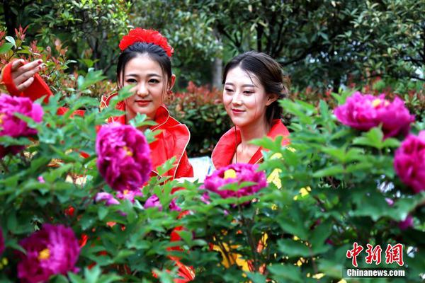 盘点体坛金猪宝宝:刘翔林丹闪耀_9929云服务器促销