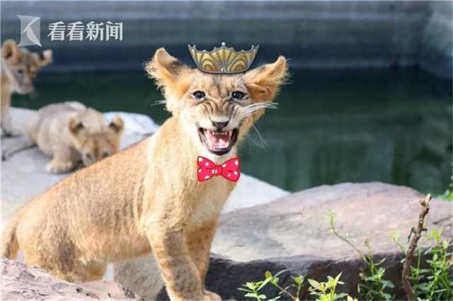 骚男婚姻破裂选择净身出户背后的辛酸泪_云电脑多会话