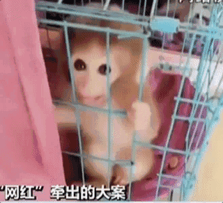 组图：吴宣仪素颜撩发wink甜度满分 比数字密码和心表白粉丝_实时音视频云服务器