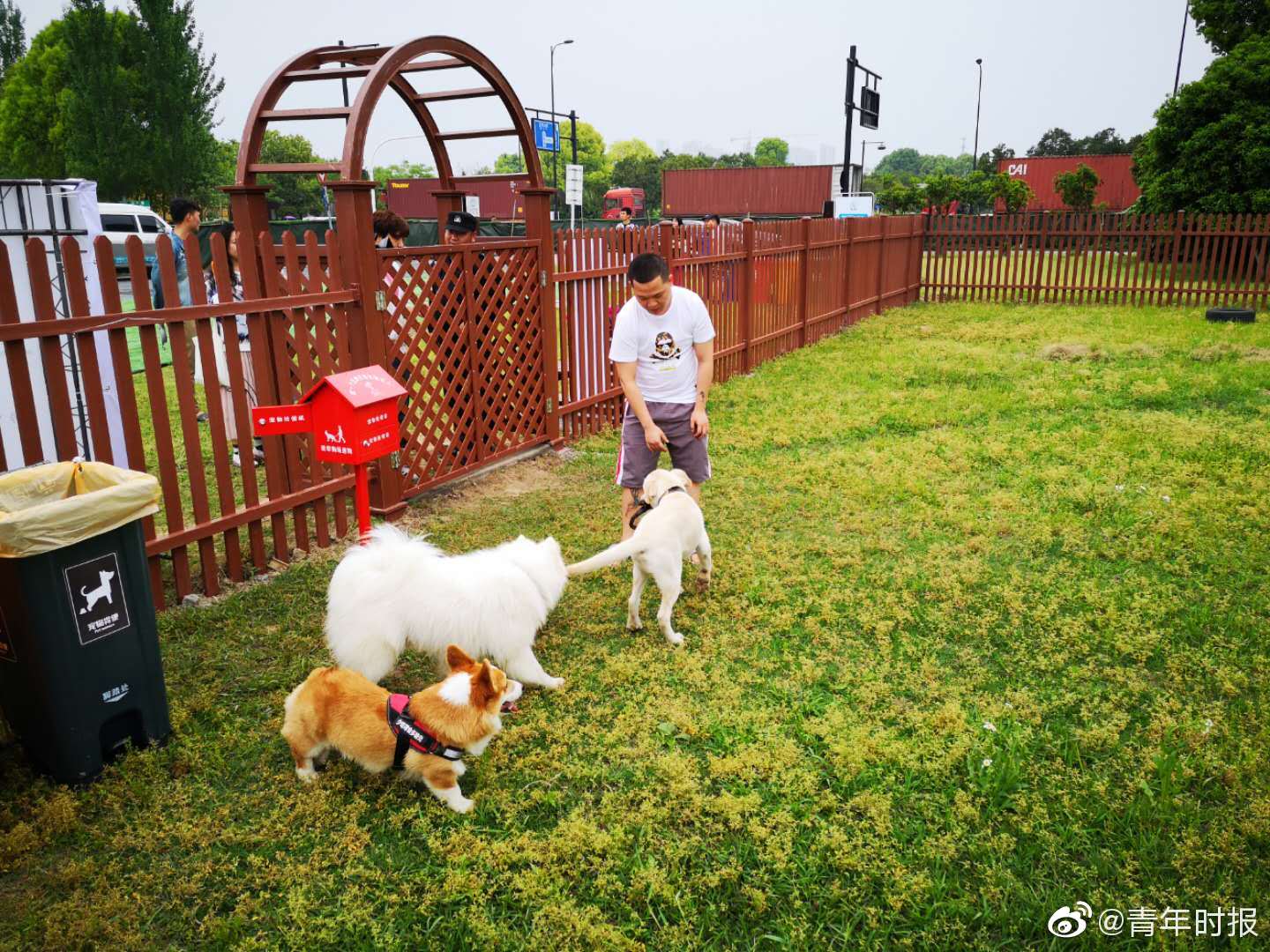 机器人也能做手术？5G加持手术机器人更安全_云应用