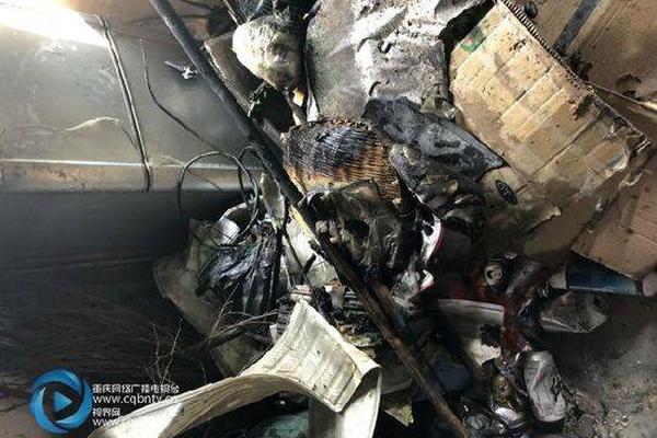 凉山这几起森林火案告破 得知真相后网友坐不住了_云服务器怎么选