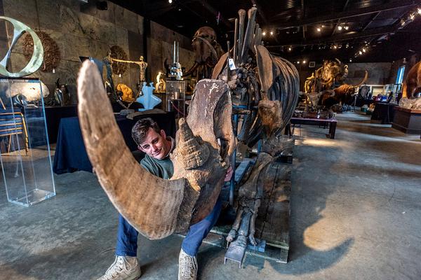 战胜塑料污染 建设美丽中国_云服务器Debian