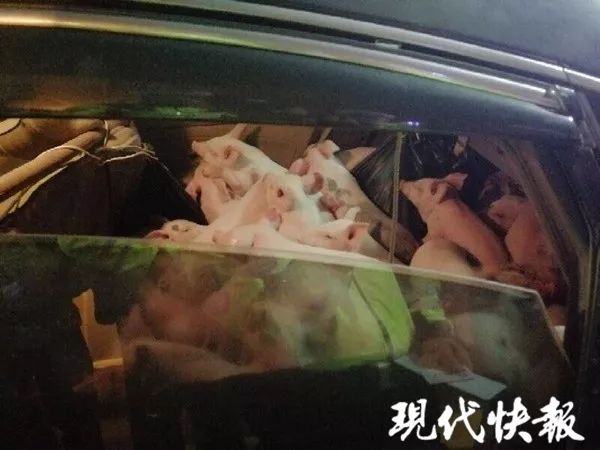 世界各地奇特有趣的房子_云电脑共享