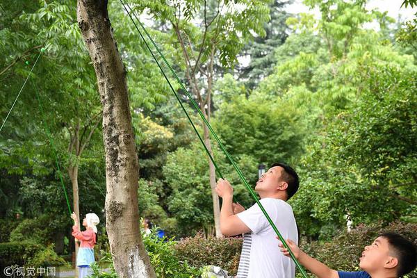 圣保罗时装周男模摔倒当场猝死_云服务器怎么选