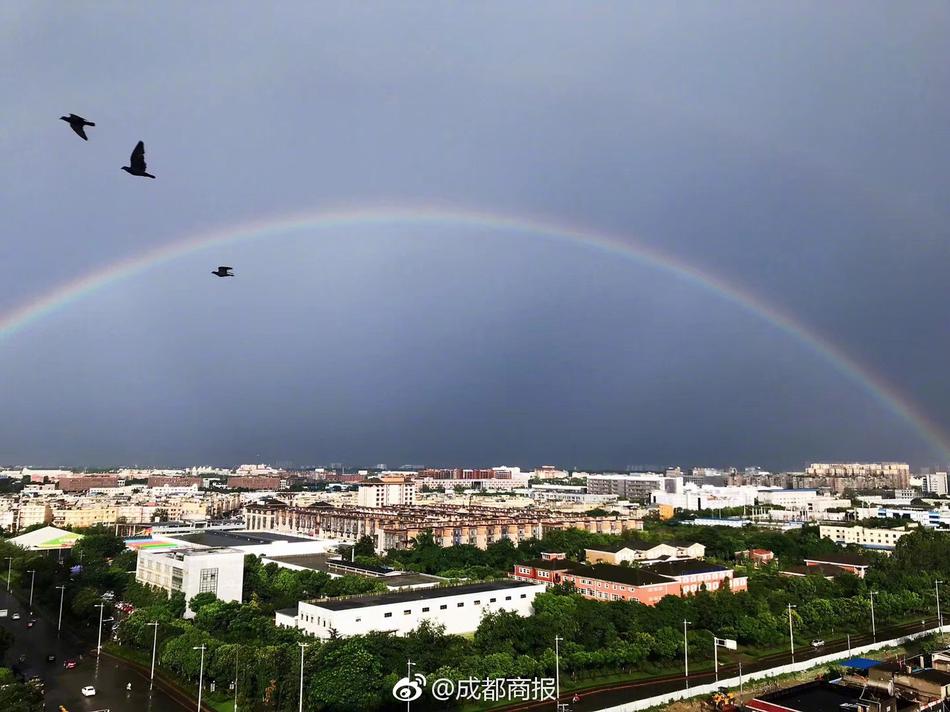 陈冠希为护隐私何错之有?_9929丢包率