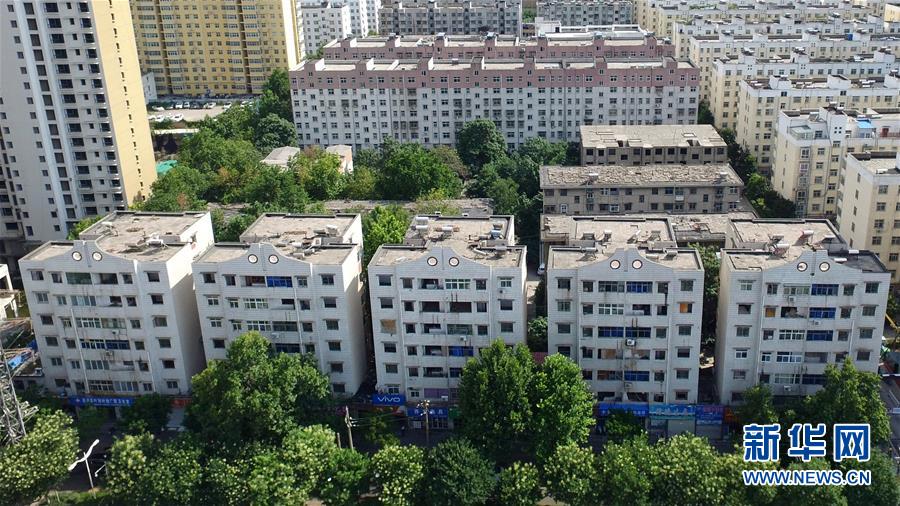 一批股票一季度亏光去年全年盈利 多只翻倍股在列_学校云电脑