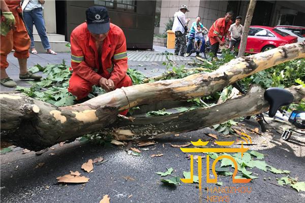 2.0T带四驱，这奥迪又降2万，人称平价小A7，终于火了！_挂机宝月付
