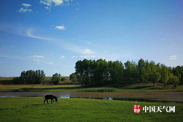 HTC 5G手机曝光:重出江湖是否有戏？_9929铂金处理器