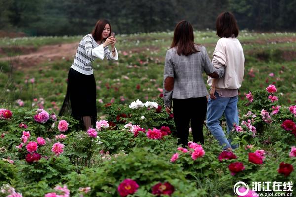 男子强登扒乘列车致列车紧急刹停被拘留十天_云电脑云应用