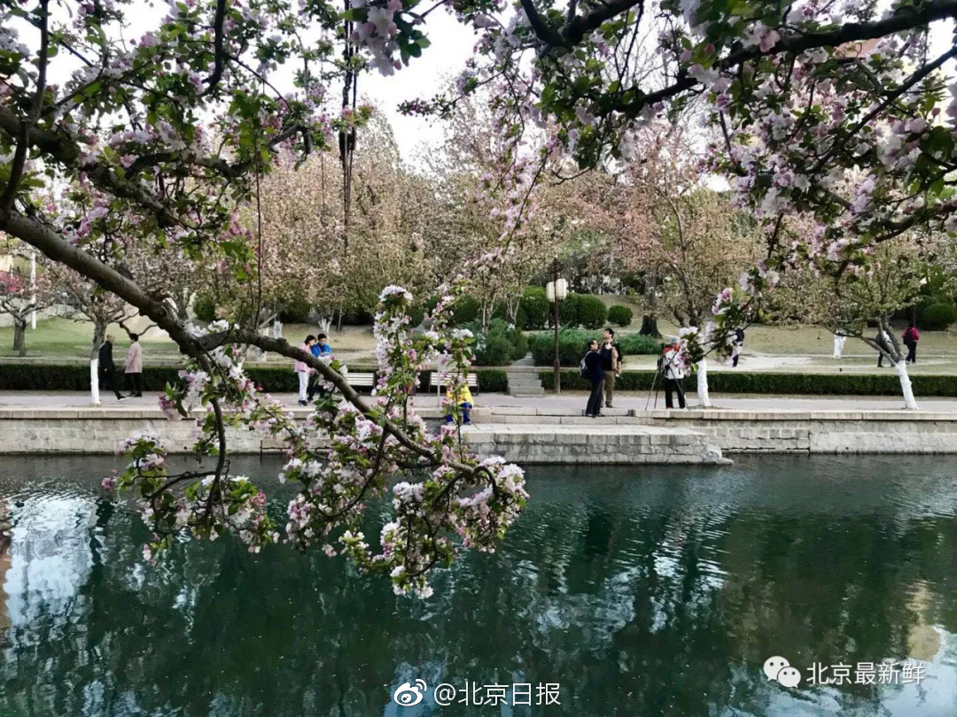 离开故宫21天后的单霁翔_云电脑手机连接电视