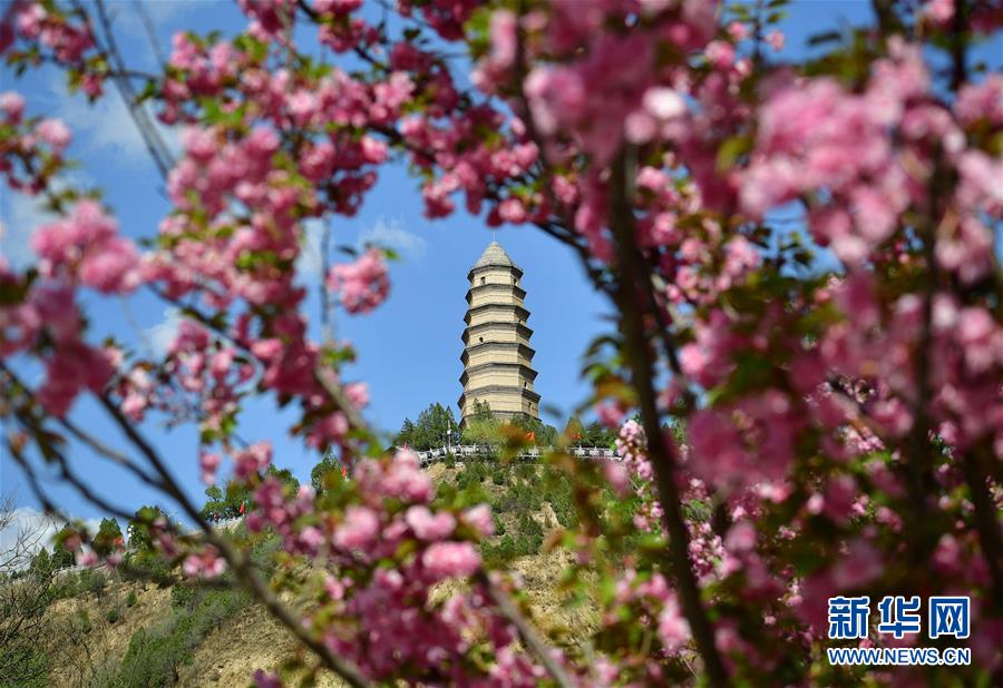 五月初，将迎来新一波桃花的四大星座_9929商家推荐