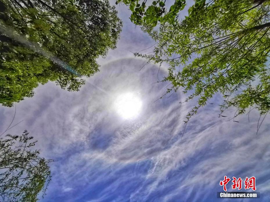 五月初，将迎来新一波桃花的四大星座_9929商家推荐
