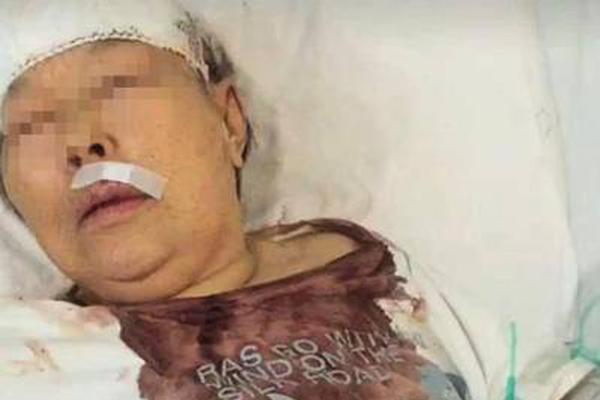 近距离看大白鲨的攻击:血盆大口令人恐惧(图)_电脑云