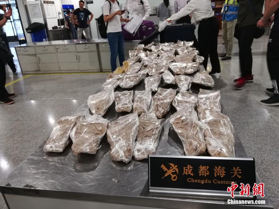 三缸没什么不好 试驾东风雪铁龙云逸1.2T