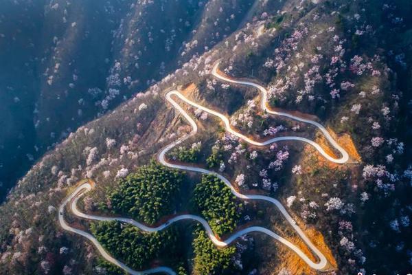 苹果：成也 iPhone，败也 iPhone_云电脑小白