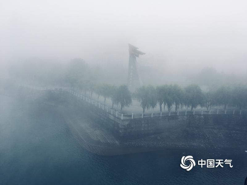 亲历:美国儿童游泳大赛