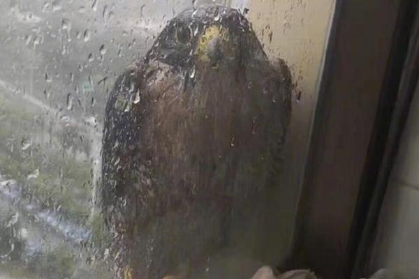 突生变故!小伙接电话后崩溃大哭_云电脑防泄漏