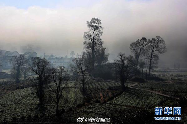 利比亚法院审判IS成员时遭袭 4名安全人员死亡_挂机宝自动任务