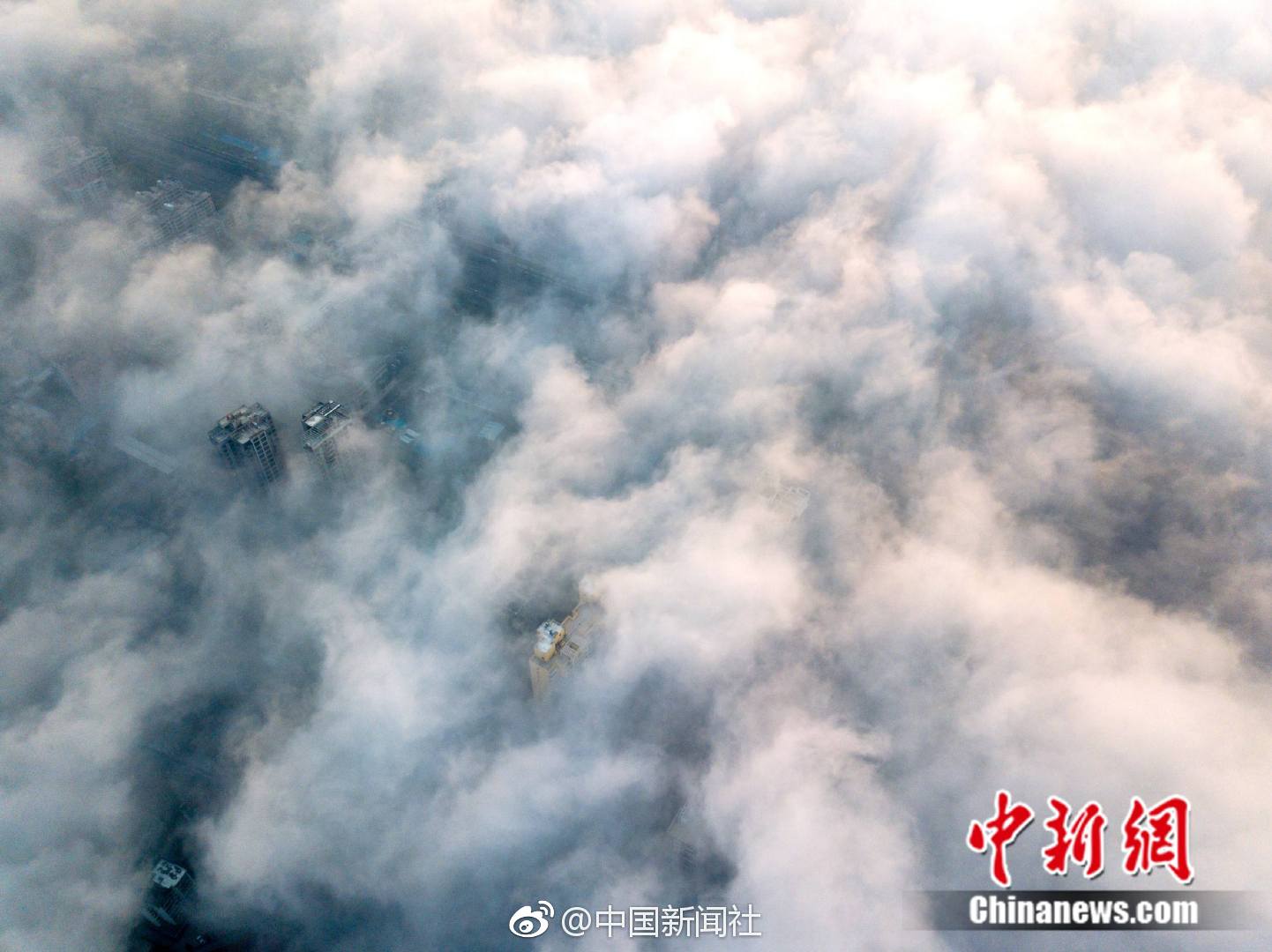 白百何高调复出后的造型越来越知性_挂机宝端口转发