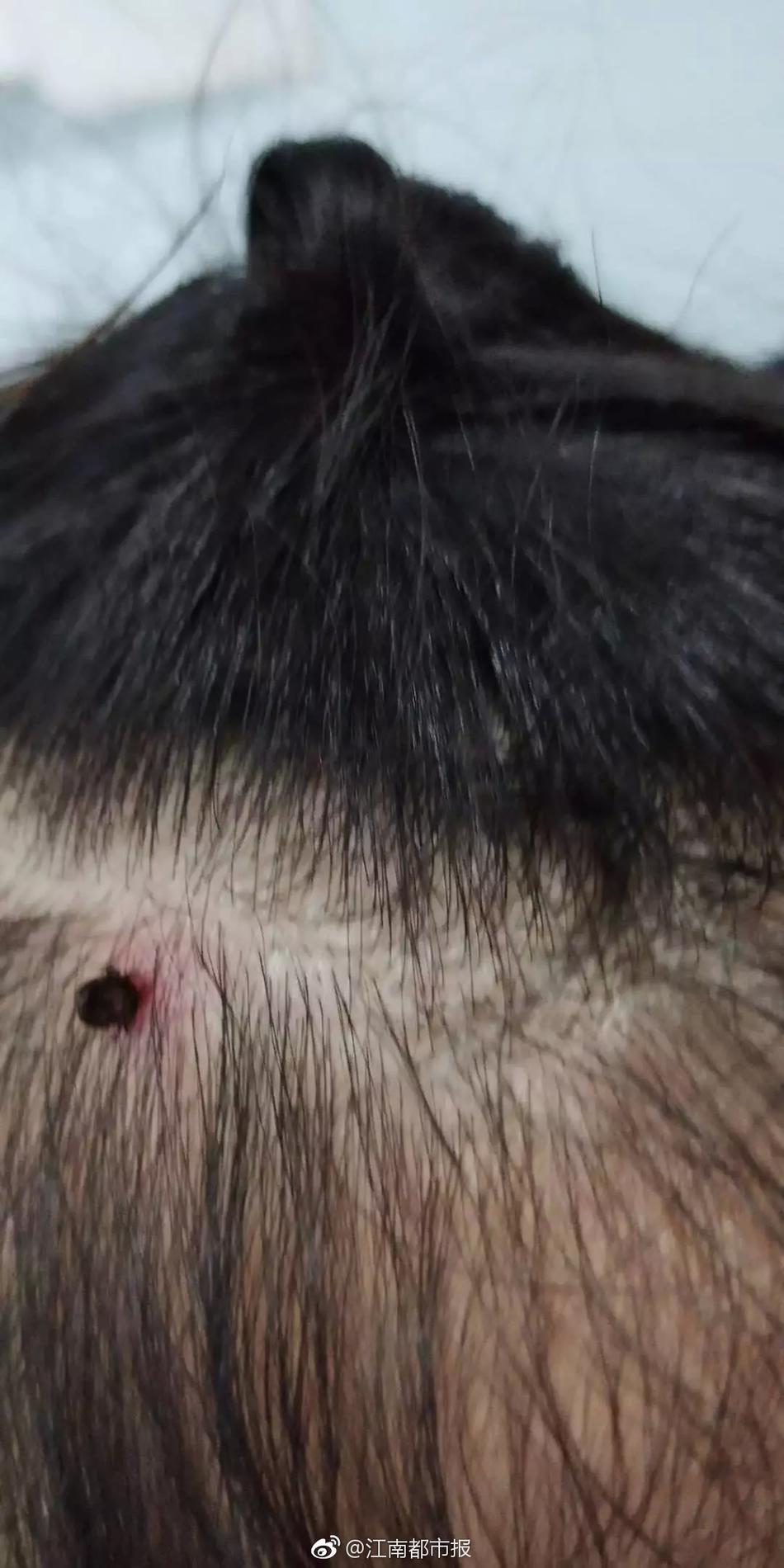 开心超人联盟之谜之城伽罗打算用音乐引出水怪神秘五大谜题之旅_多终端协同
