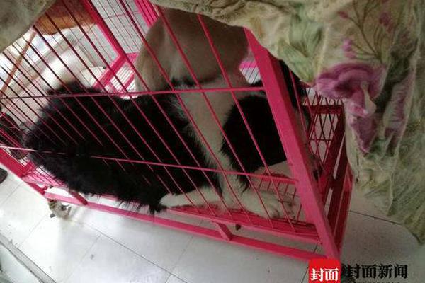 关于解决部分退役士兵社会保险问题的意见印发_9929实时数据处理