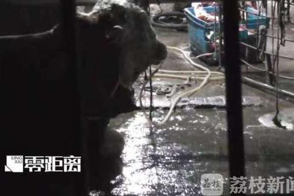 加紧步伐！科创板发审系统五一期间保持正常开放_9929欧洲VPS