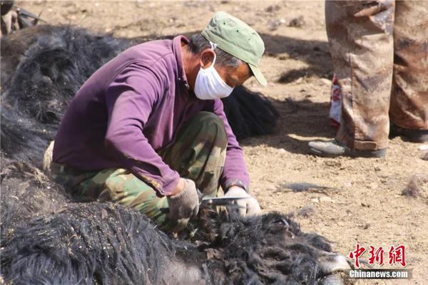 土超队遭遇车祸:捷克国脚苏拉尔离世 西塞等6人受伤_AS9929线路解析