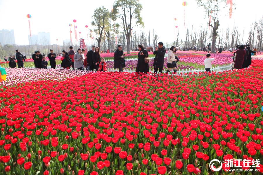 高尔夫中国公开赛深圳开杆 总奖金2000万李昊桐领衔出战_CN2 cloud hosting