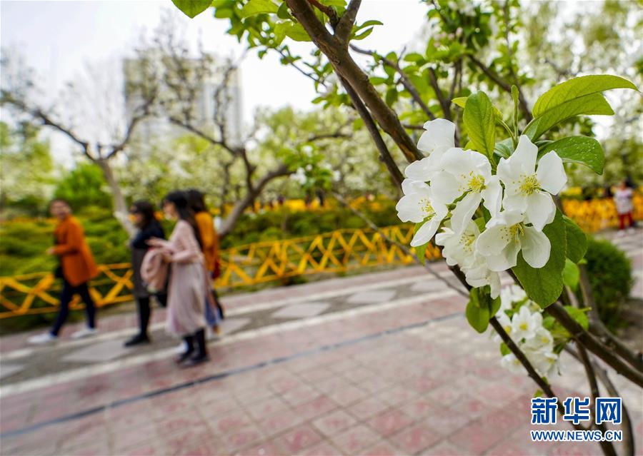 林则徐销烟被撤职后，关天培誓死捍卫国家尊严