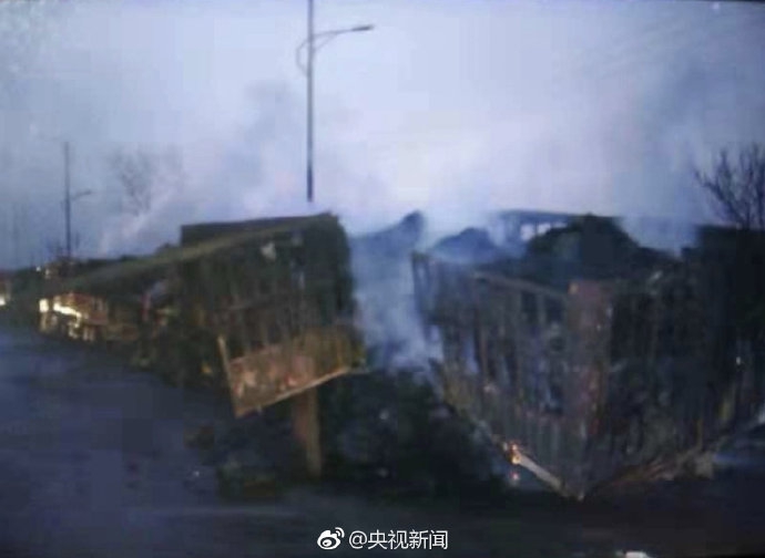 章子怡带女儿去农场 醒宝生吃胡萝卜表情一言难尽_三网CN2服务器