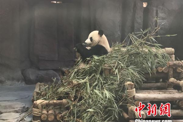 美国大师赛连特朗普也关注！盛赞伍兹打得太好了_云服务器4核16G