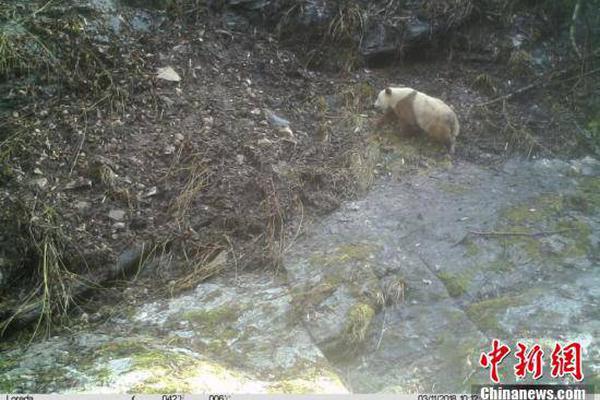 土耳其国产航母距下水就差临门一脚，突发火灾烧得面目全非_挂机宝大内存