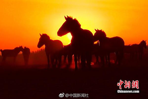 上海民校为何受家长“热捧”?_云电脑高性价比