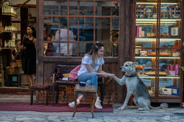 买到了域名怎么绑定网站_CN2服务器搭梯子