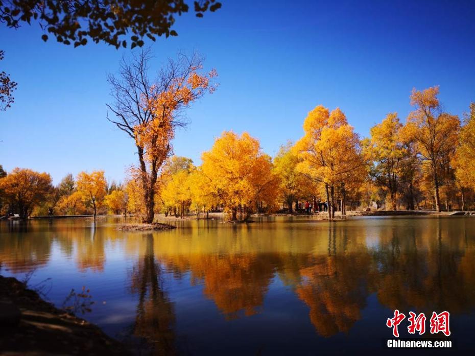 冲突一触即发!2艘核动力航母冲向地中海,俄最不愿看见的事发生_美国CN2线路
