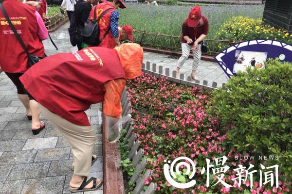 日本土豪晒游艇豪宅 家里全是名表1张床单要12万_挂机宝多开