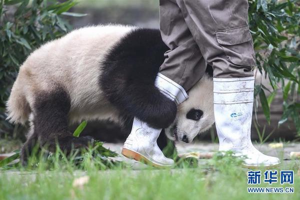 刘诗诗产子！被吴奇隆低调宠爱的她曾说不想当慈母