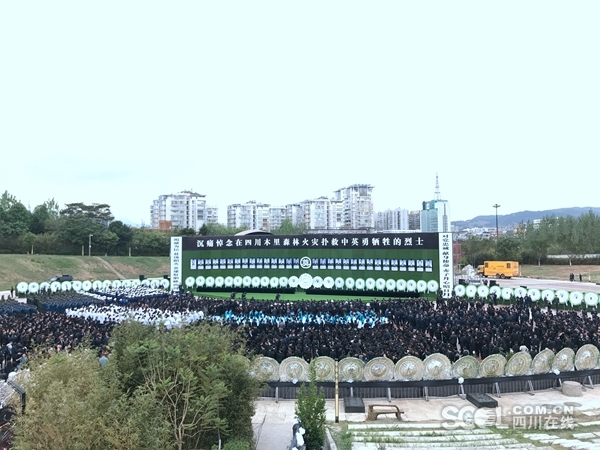 10年后,我国“住房过剩”问题有多严重?70大爷一语道破_远程办公