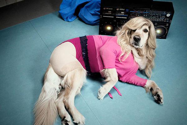 新城事VOL1:Stylist的时尚周末_稳定云服务器