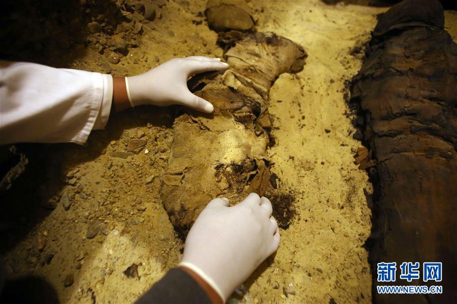 搜救犬水灾救援22天殉职 主人:它太累了_CN2 API服务器