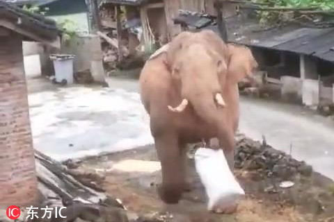 《复仇者联盟4》零点场首映全纪录