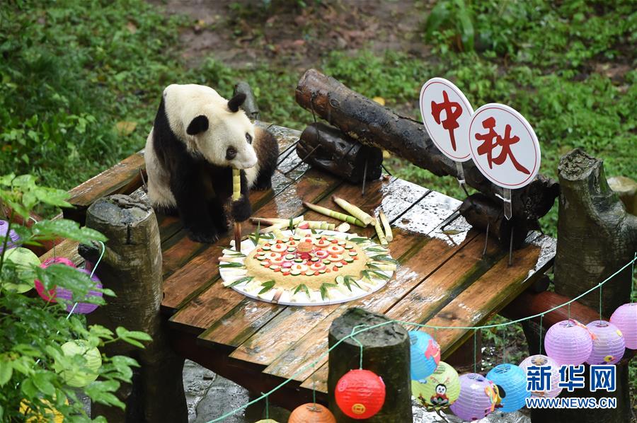纪连海带您见证中国酒文化的变迁史